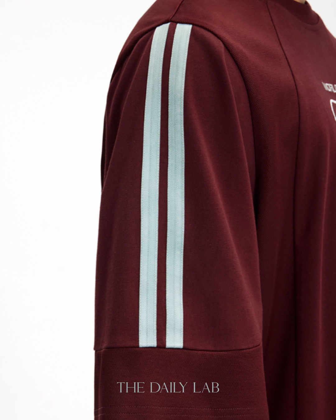 Worldwide Stripe Graphic Tee in Dark Red