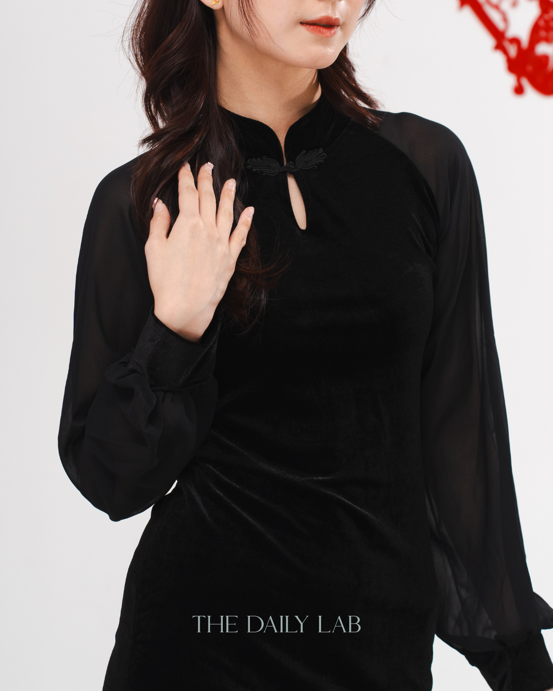 Velvet Sheer Lantern Sleeve Dress