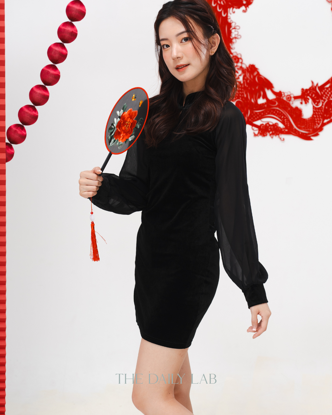 Velvet Sheer Lantern Sleeve Dress