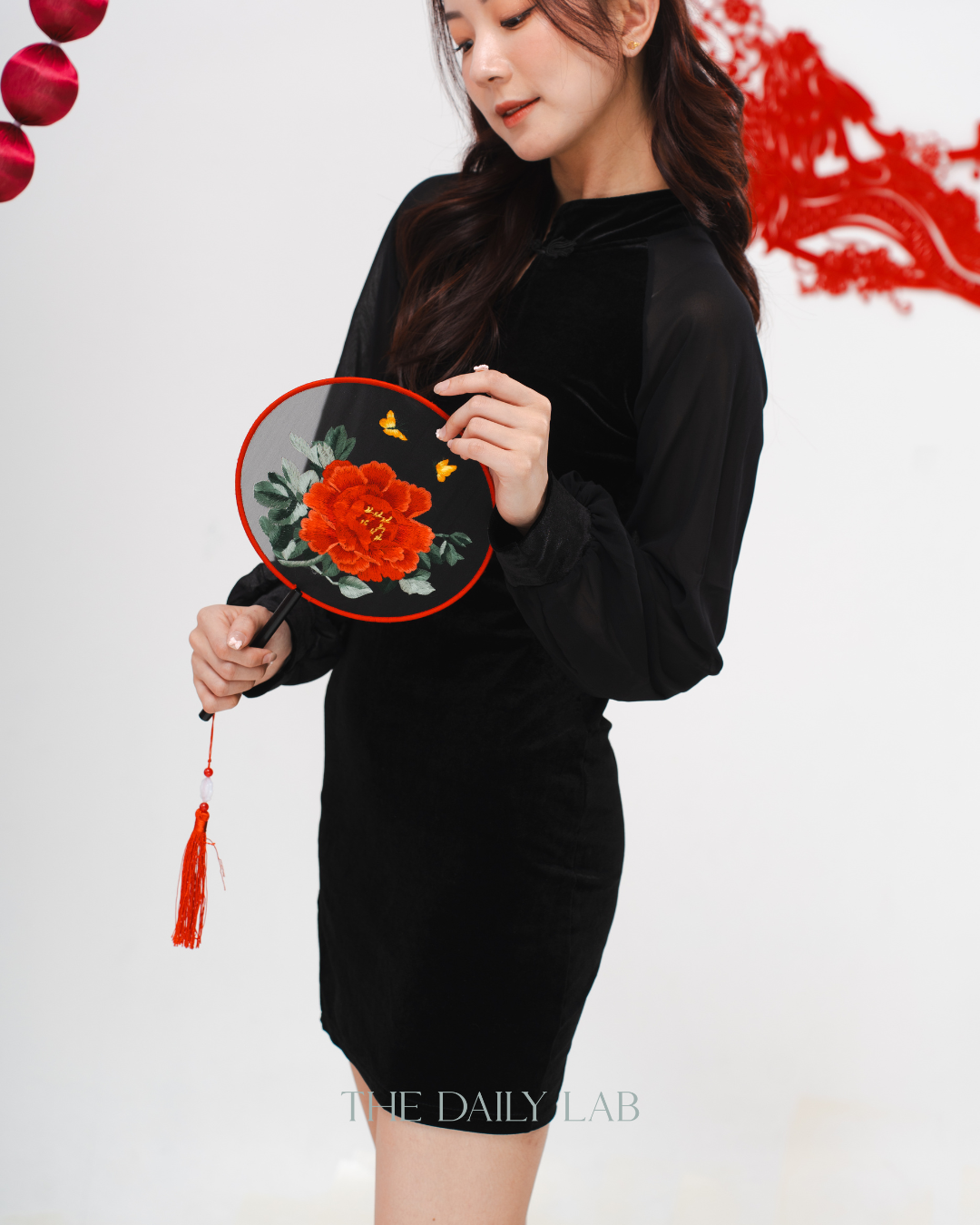 Velvet Sheer Lantern Sleeve Dress