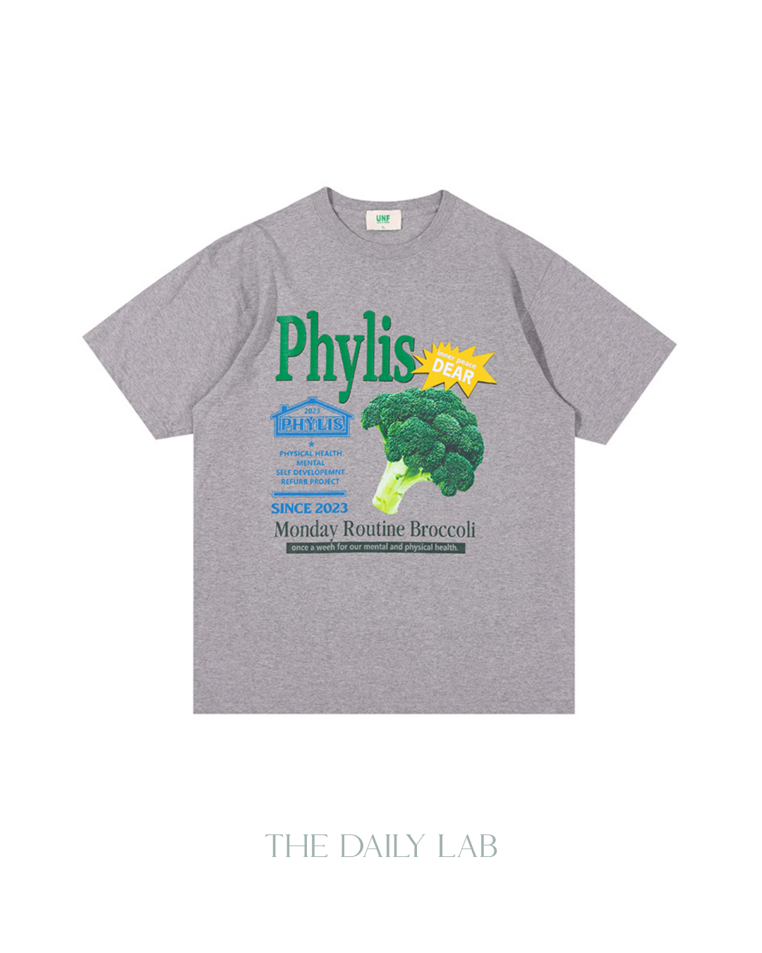Phylis Oversized Tee in Grey