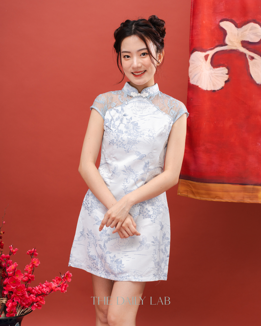 Lace Mandarin Collar Jacquard Dress