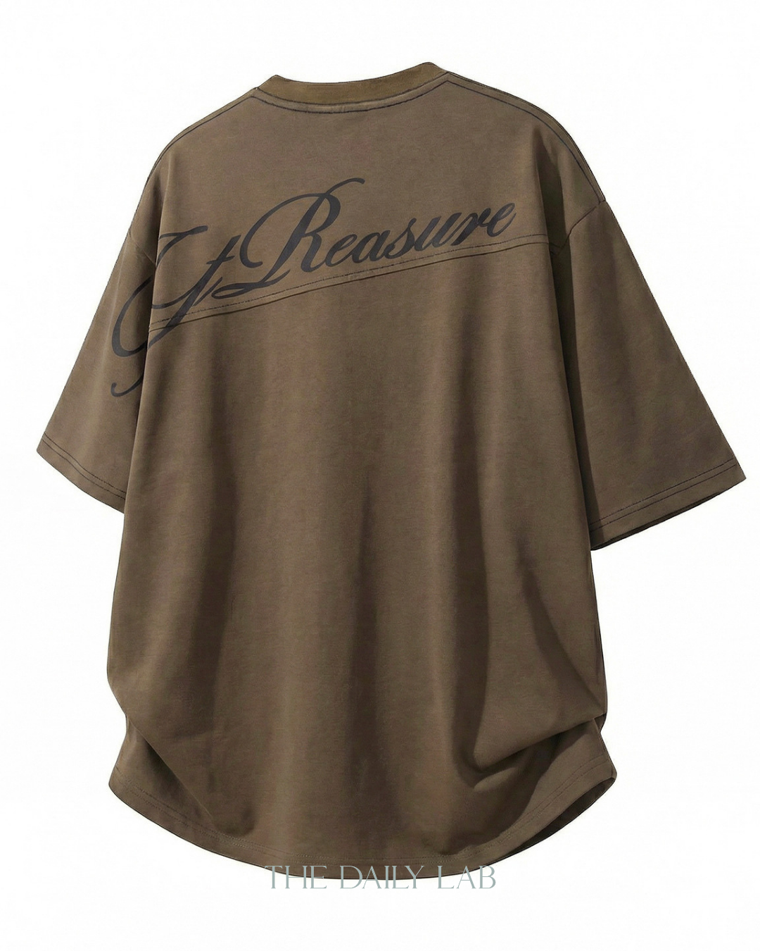 Panel Back Graphic T-Shirt in Brown