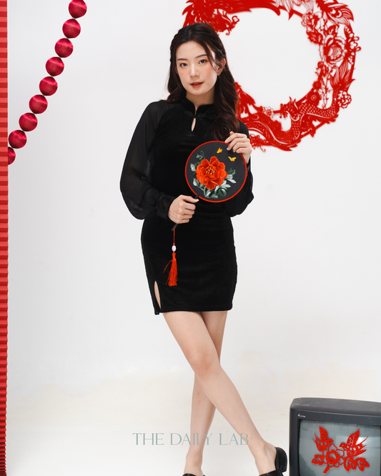 Velvet Sheer Lantern Sleeve Dress