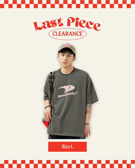 Gandercity Graphic Oversized Tee in Grey (Size L)