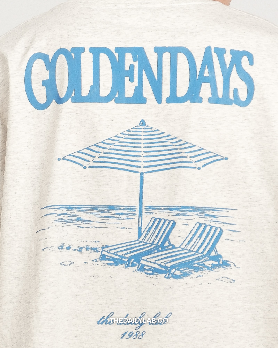 Golden Days Graphic Boxy Tee in Grey (In-Stock)